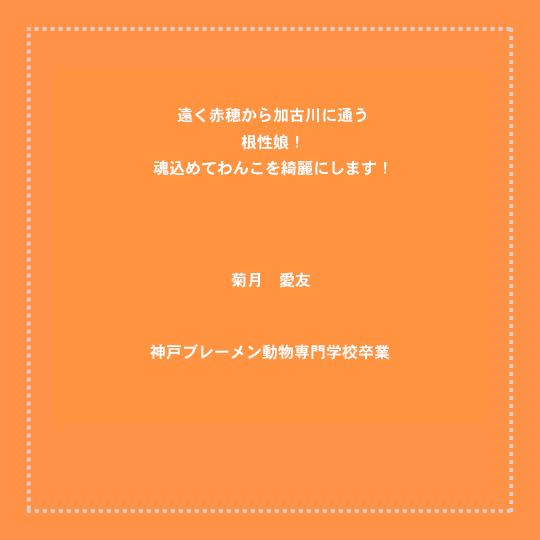 遠く赤穂から加古川に通う
根性娘！
魂込めてわんこを綺麗にします！
菊月　愛友
神戸ブレーメン動物専門学校卒業