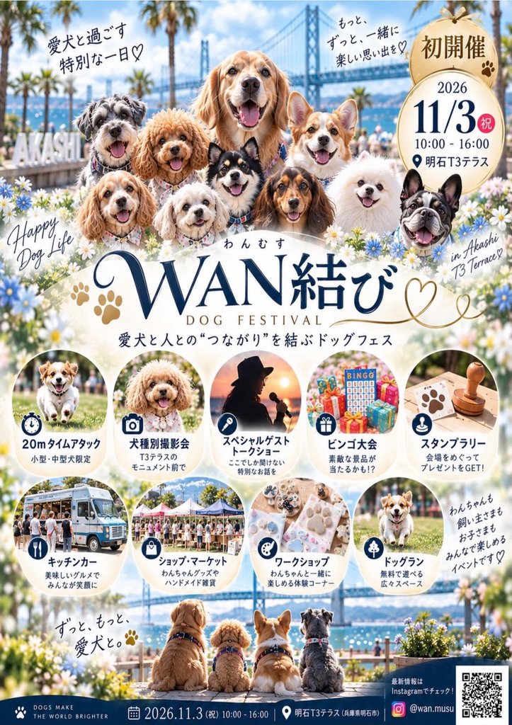 WAN結びチラシ